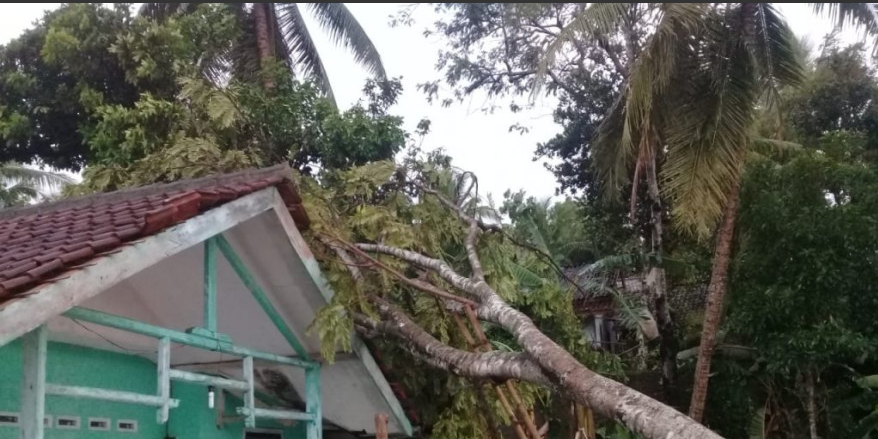 Update terkini data Korban Bencana Angin Puting Beliung Disukajaya