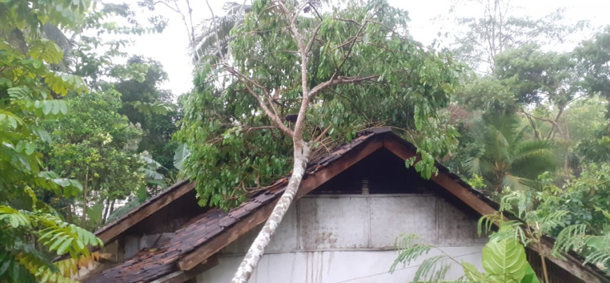 Akibat Angin Puting Beliung Sejumlah Rumah di Sukajaya Rusak Tertimpa Pohon